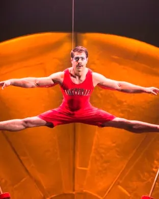Cirque Du Soleil - Luzia Hallandale