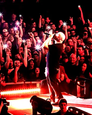 Disturbed Hollywood