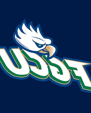 Florida Gulf Coast Eagles Fort Myers