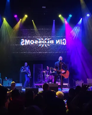 Gin Blossoms Hollywood