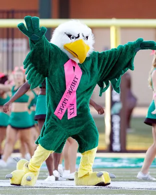 North Texas Mean Green Denton