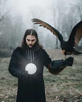 Seven Lions Hollywood