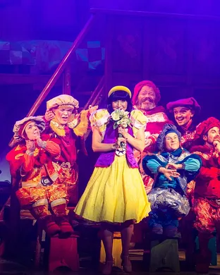 Snow White And The Seven Dwarfs Miami Beach