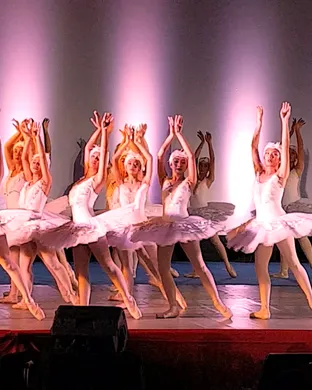 Swan Lake