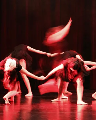 Dimensions Dance Theatre of Miami: Fall Performance